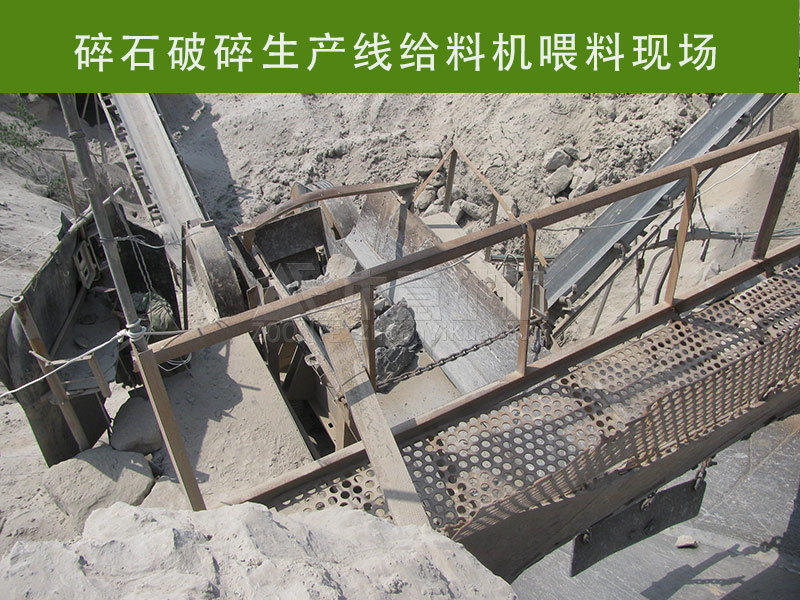 振動(dòng)給料機(jī)現(xiàn)場(chǎng)